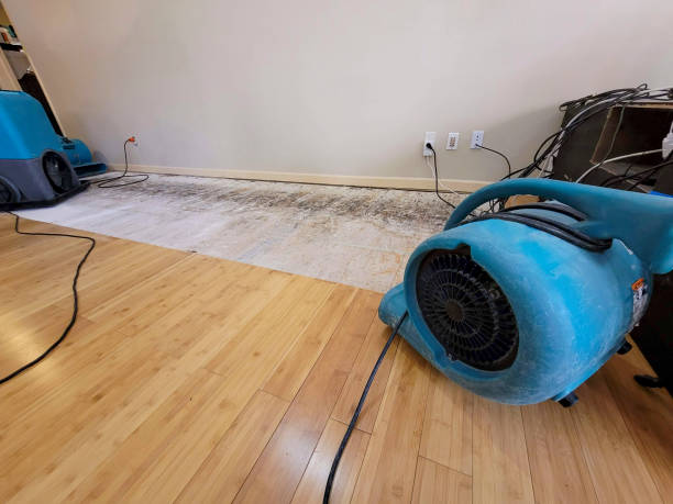 Professional Water Damage Repair technician working in Gayville, SD